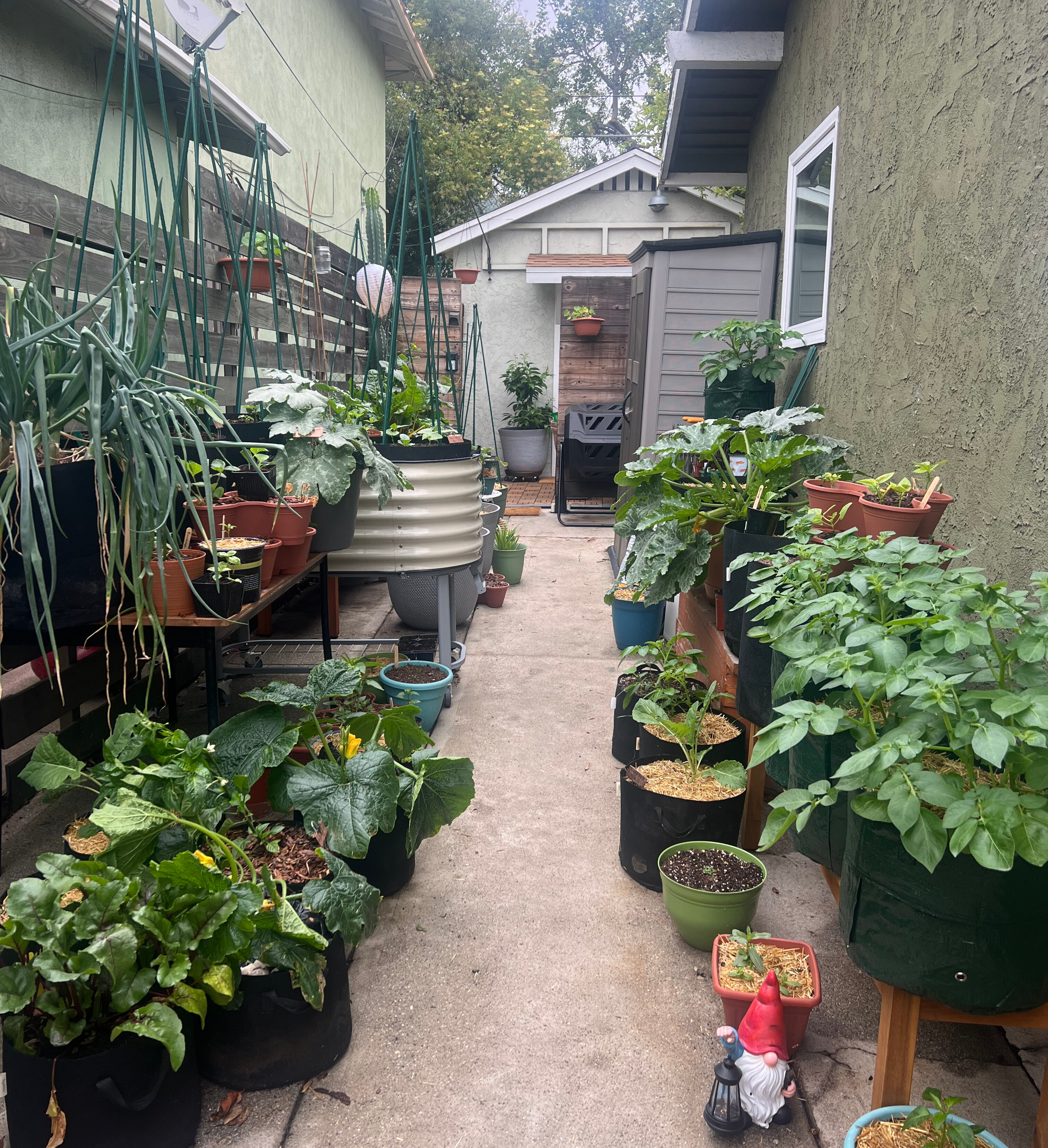 driveway garden