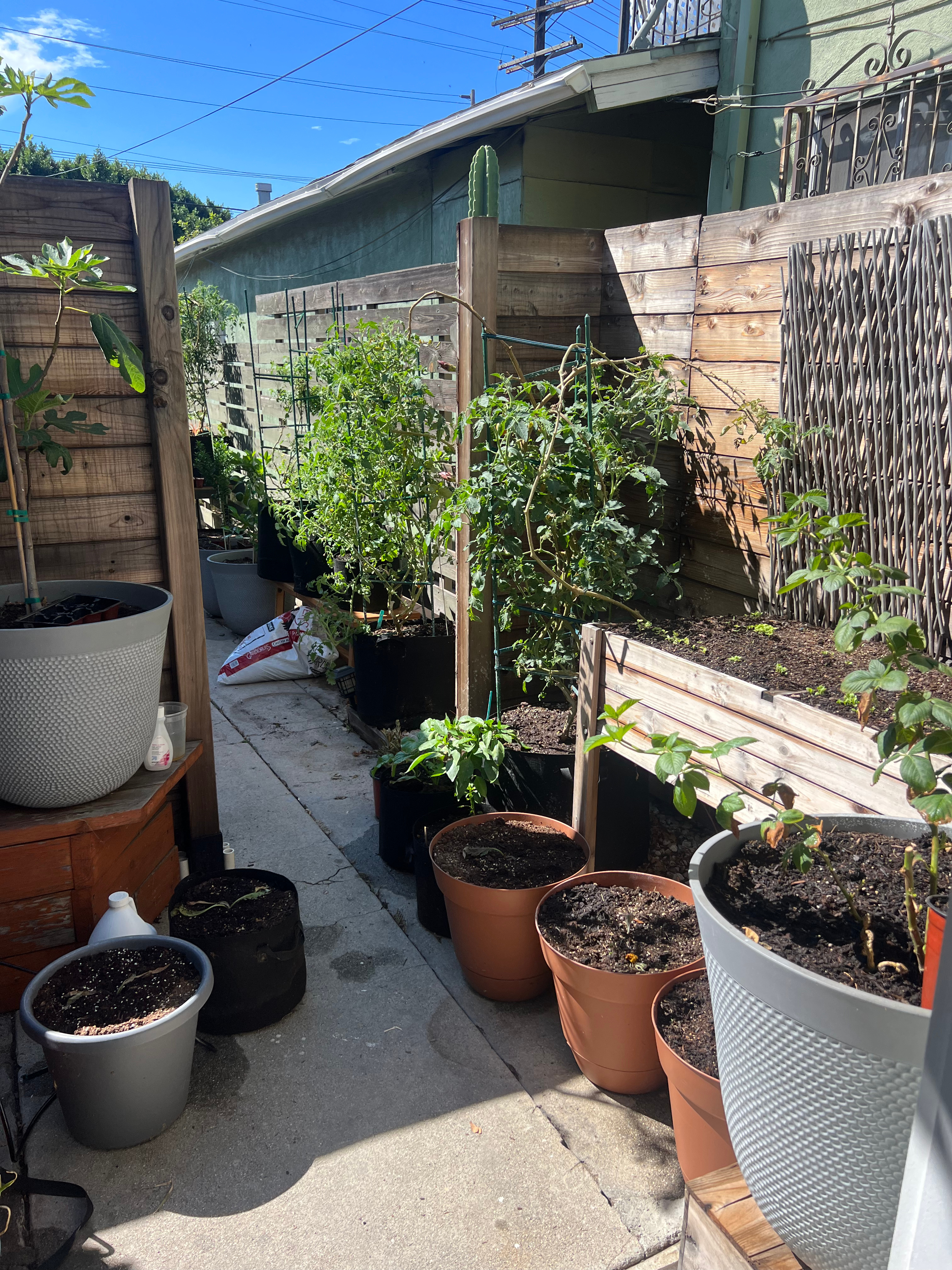 driveway garden